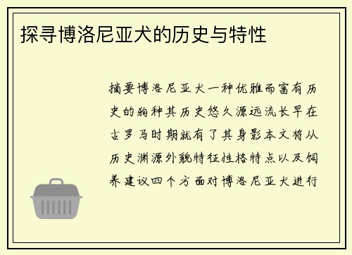 探寻博洛尼亚犬的历史与特性